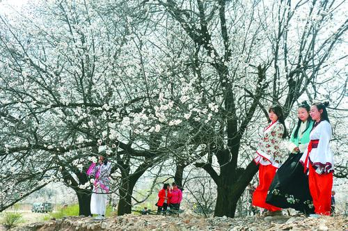 CCTV5 体育直播画面